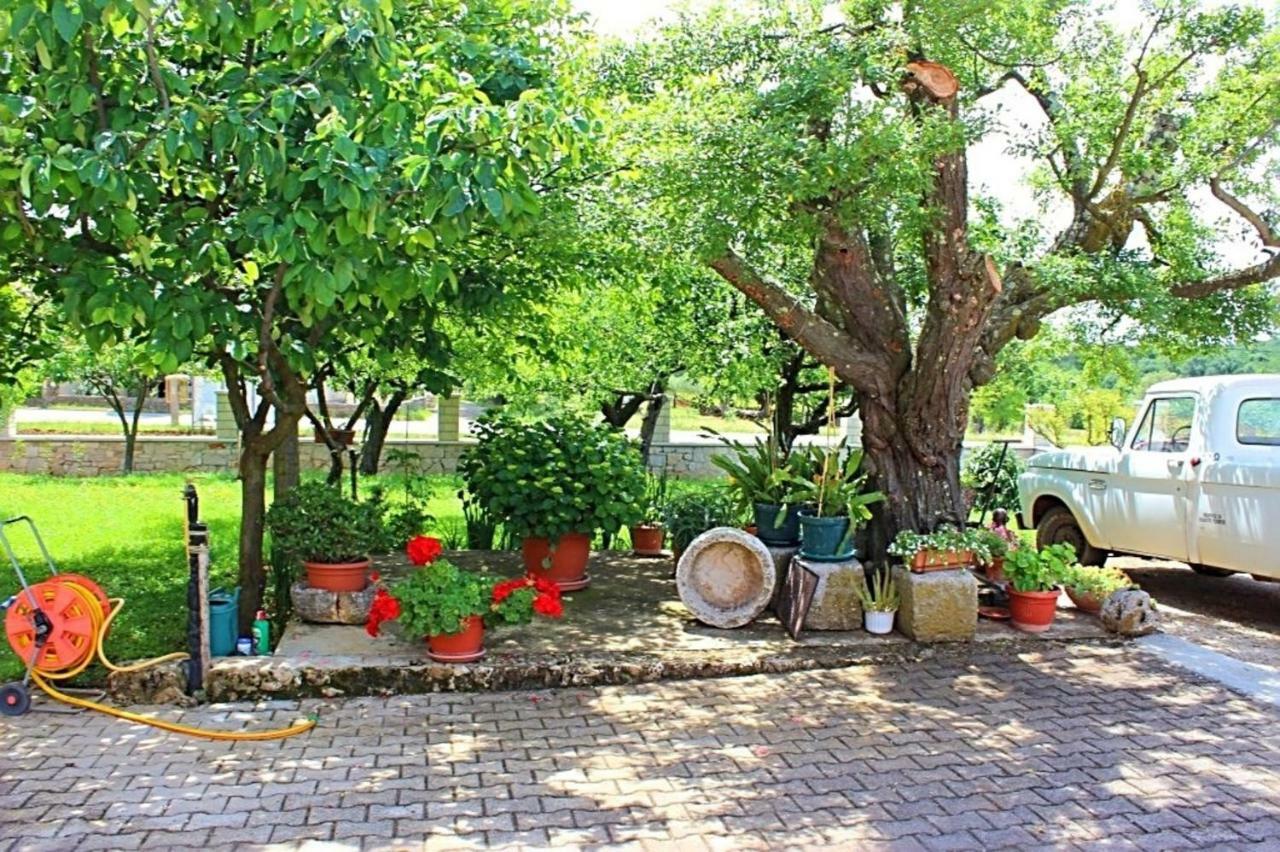 דירות פורץ Palmira מראה חיצוני תמונה